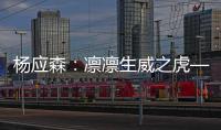 杨应森：凛凛生威之虎——武警甘肃省总队甘南支队某特战中队小记